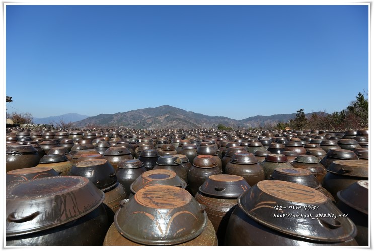 광양여행 가볼만한곳 2018 광양매화축제