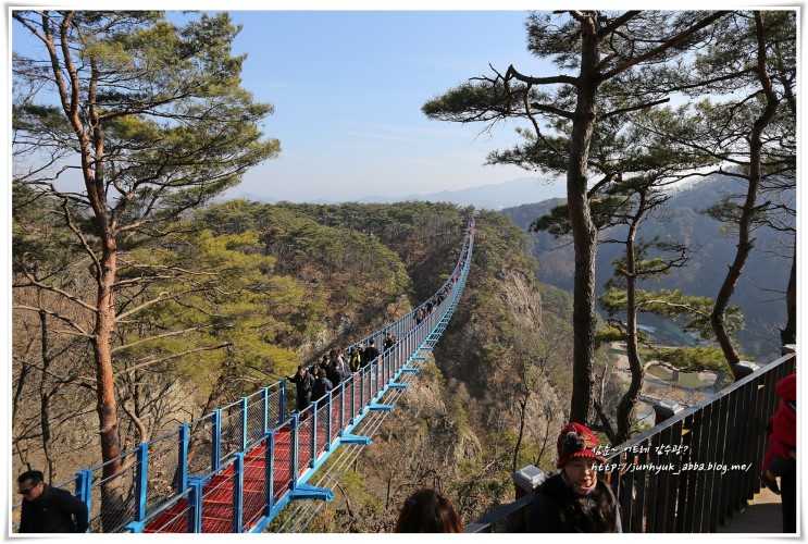 강원도 원주여행 가볼만한곳 소금산 출렁다리