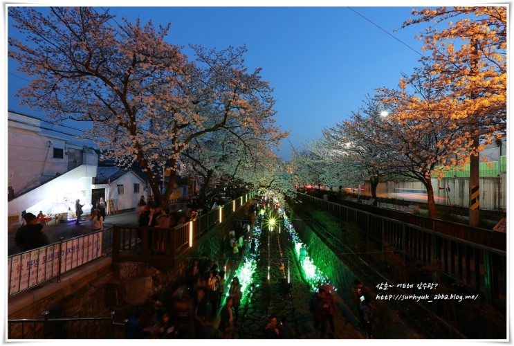 진해여행 가볼만한곳 2018 진해 군항제 벚꽃축제