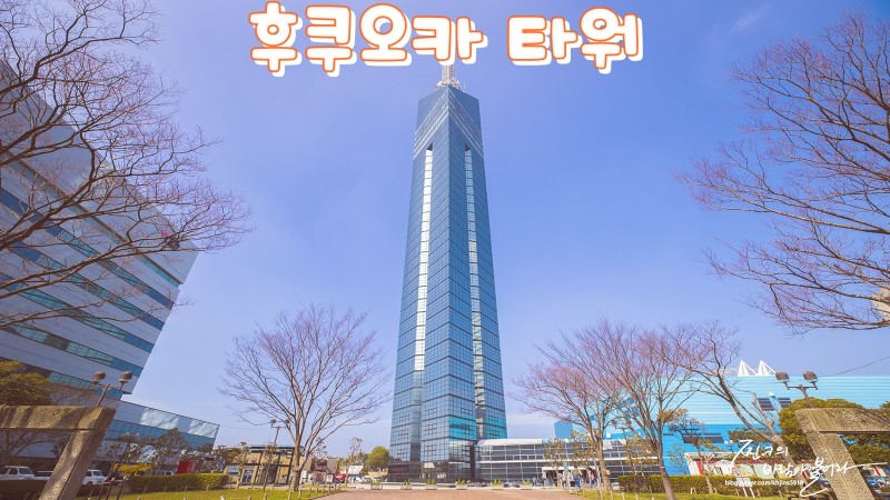 후쿠오카 타워 입장권 가격+전망대 야경 후기 !