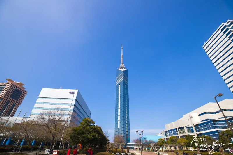 후쿠오카 타워 입장권 가격+전망대 야경 후기 !