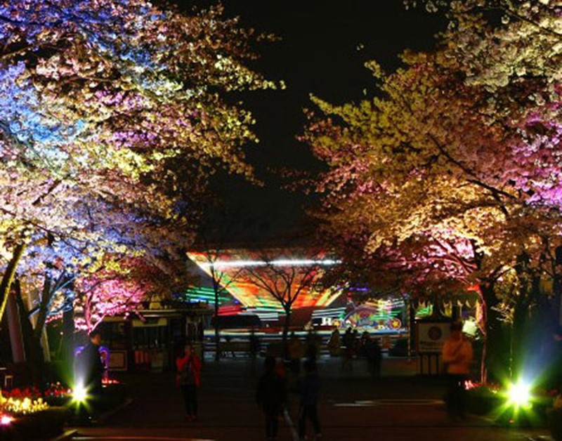 서울 봄여행 튤립축제 꽃놀이 가즈아!