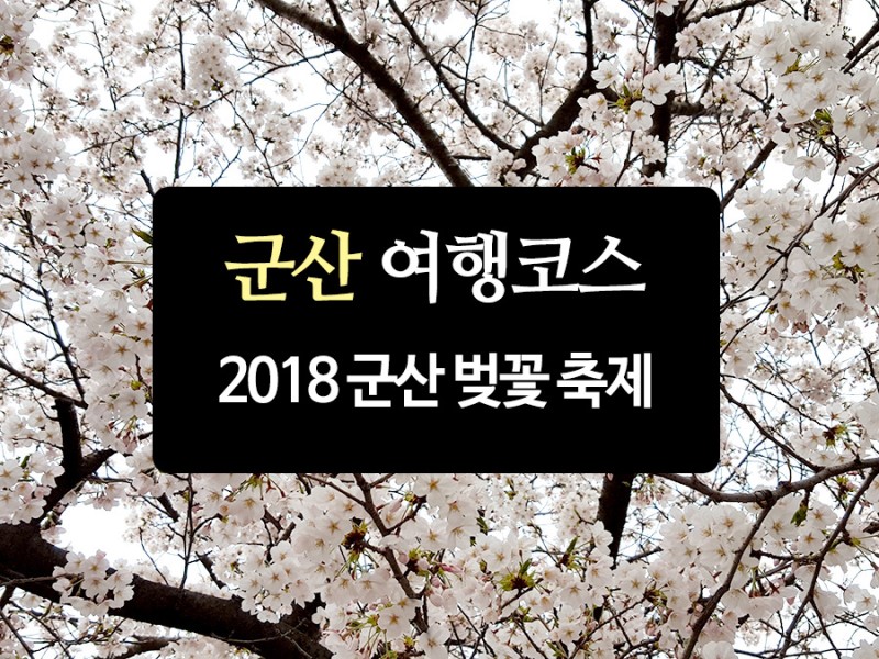 군산 벚꽃축제 2018 벚꽃축제 기간 일정 정보