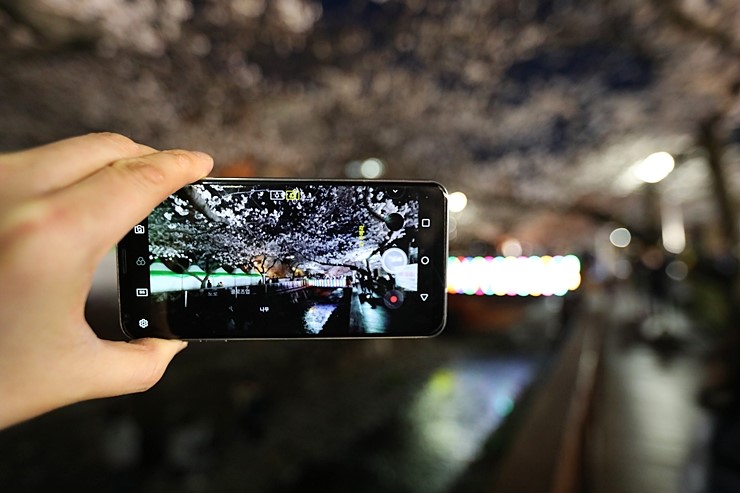벚꽃여행 스마트폰 카메라 LG V30 ThinQ 인공지능 편리함