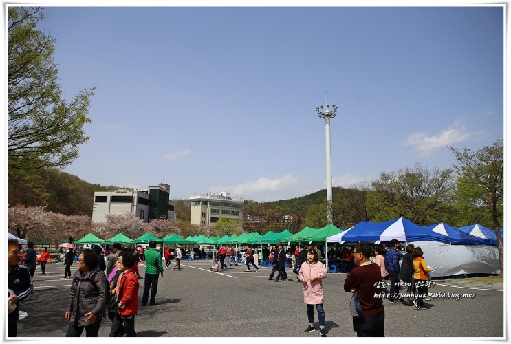 2018 구미 금오산 벚꽃축제