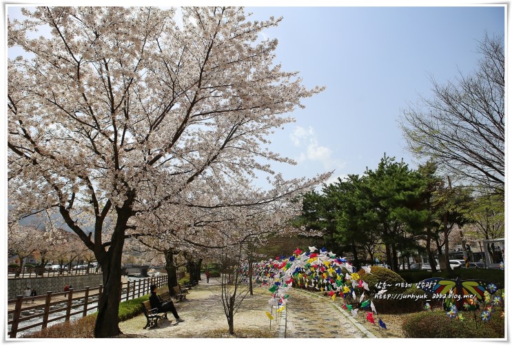 2018 구미 금오산 벚꽃축제