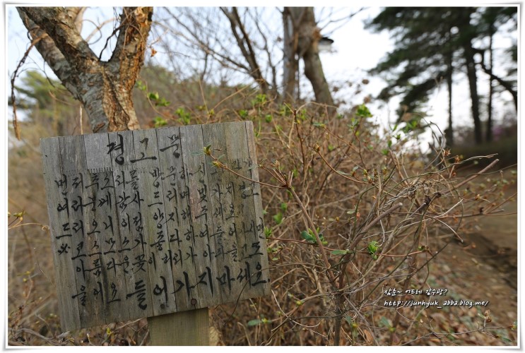 충북 옥천여행 가볼만한곳 부소담악