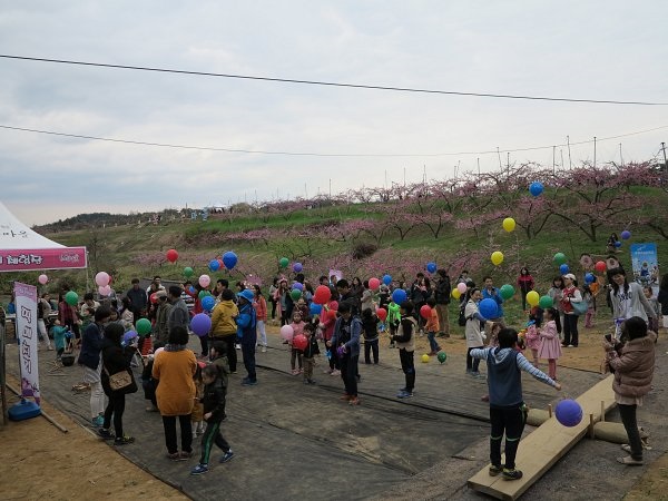 강원도축제 2018 강릉 장덕리 복사꽃축제 일정