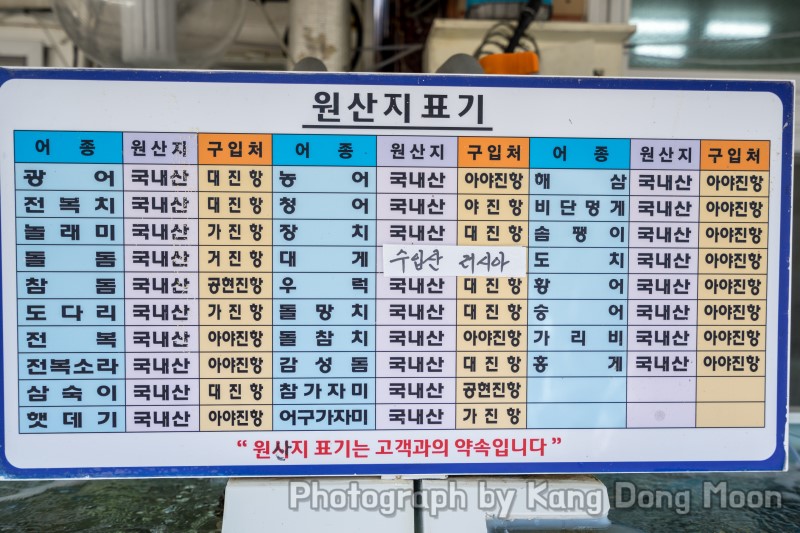 강원도 고성 맛집 자연산만 취급하는 갈매기횟집