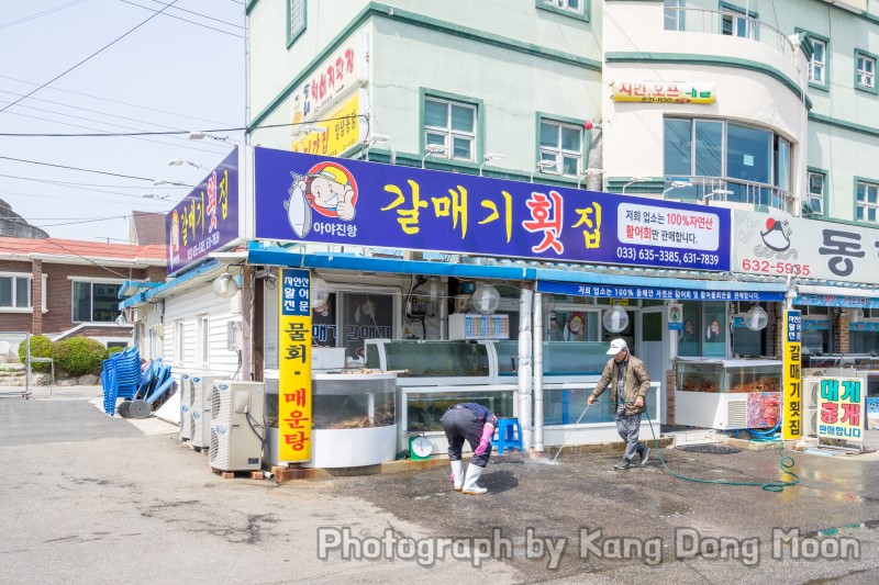 강원도 고성 맛집 자연산만 취급하는 갈매기횟집