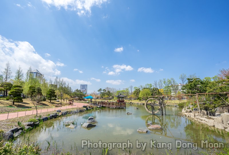 혼자 국내여행 튤립축제 부럽지 않은 대전 유림공원