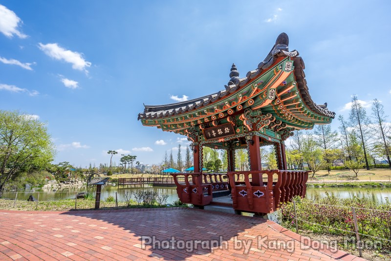 혼자 국내여행 튤립축제 부럽지 않은 대전 유림공원
