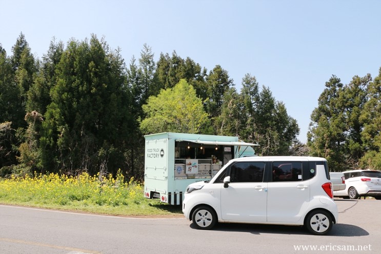 제주도 녹산로 유채꽃  " 이거 실화야?" 