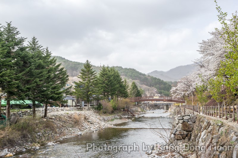 대전 근교 가볼만한곳 무주 구천동 계곡 드라이브