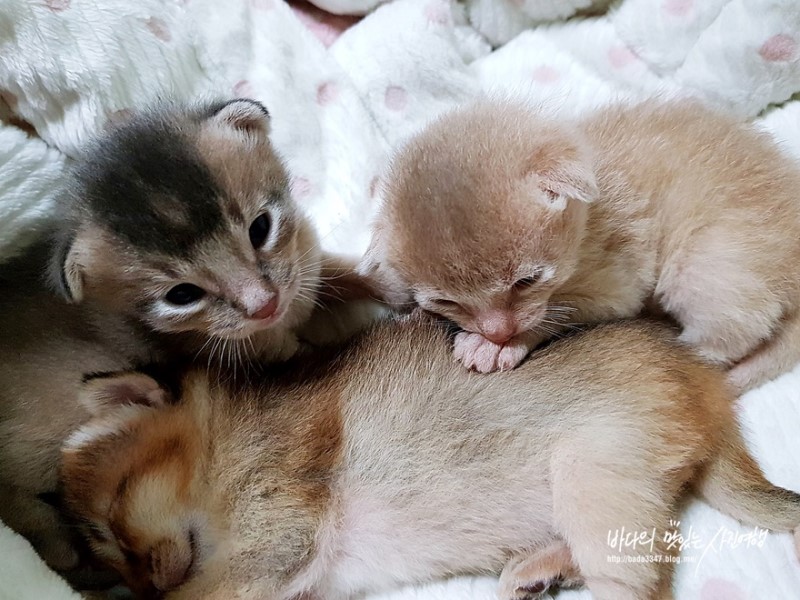 꼬물이 13일차, 네째 인생샷 찍은 날♡♡♡