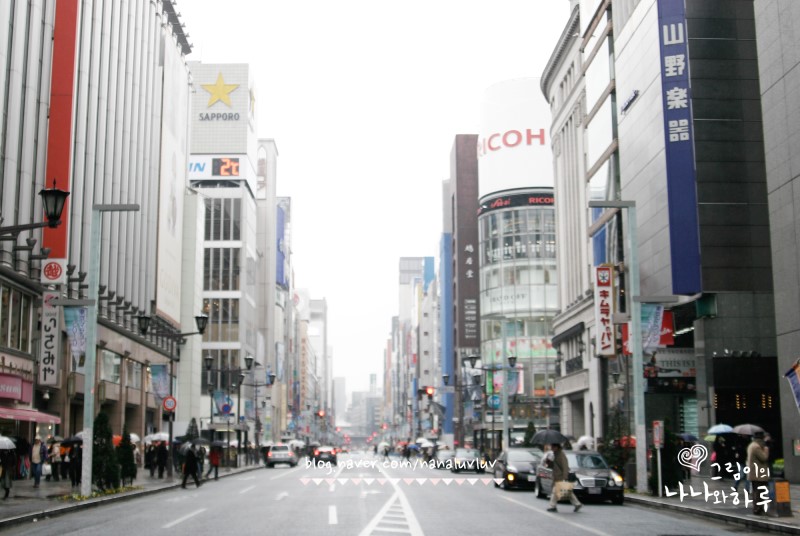 일본 와이파이 도시락 30% 혜택