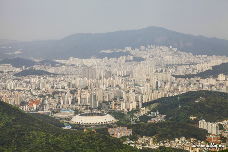 부산 가볼만한곳, 백양산 애진봉 철쭉군락지 소녀감성 기차여행