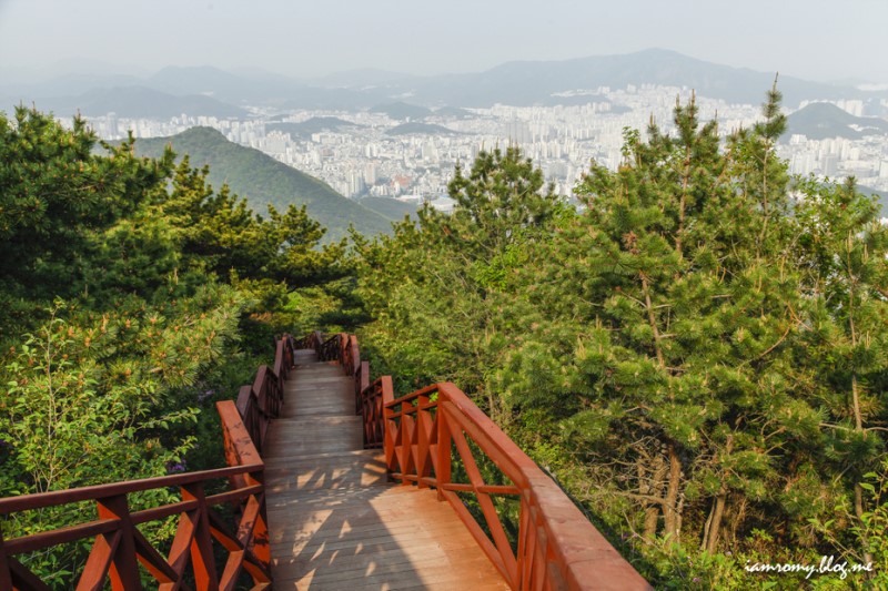 부산 가볼만한곳, 백양산 애진봉 철쭉군락지 소녀감성 기차여행