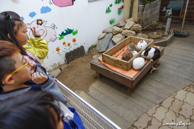 아이와 가볼만한곳, 원주 돼지문화원 5월 가족여행지 추천