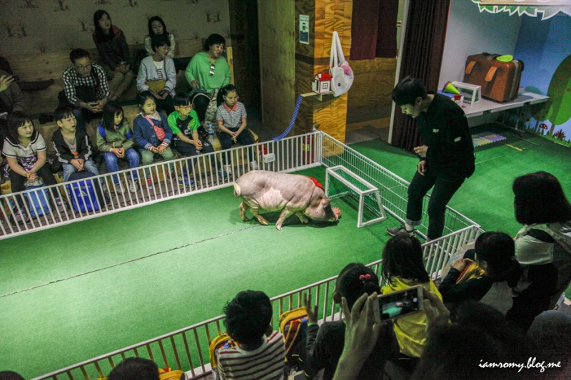 아이와 가볼만한곳, 원주 돼지문화원 5월 가족여행지 추천