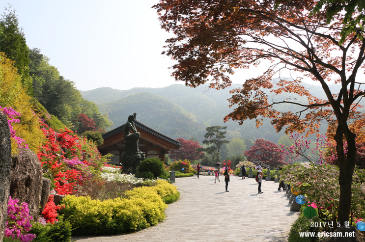 용인 와우정사 ' 오월 모습은? '  