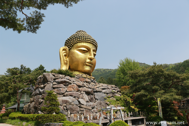 용인 와우정사 ' 오월 모습은? '  