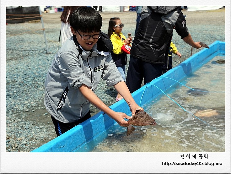 서천 자연산 광어 도미 축제 2018