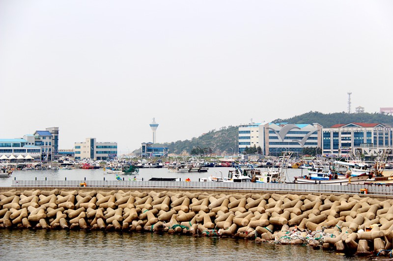 군산 선유도 다리개통 당일치기 여행 고!