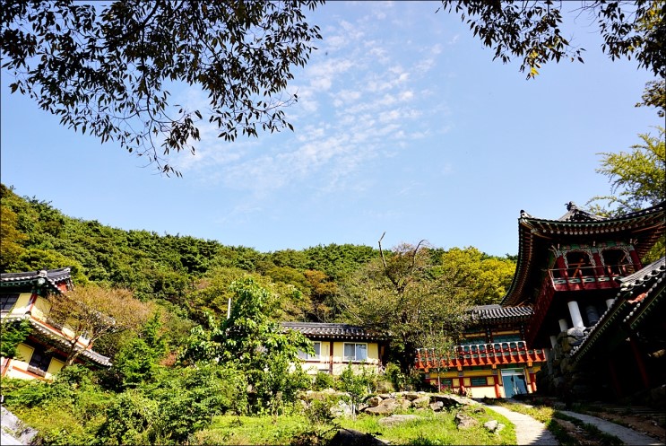 태안 가볼만한곳, 1박2일 낚시여행!