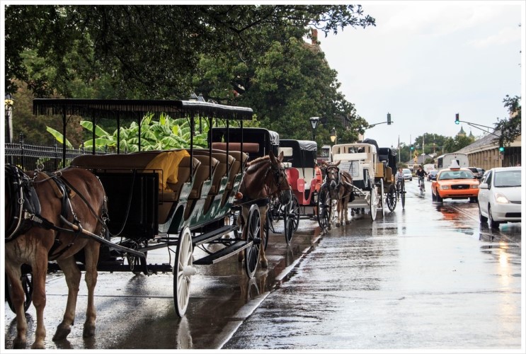 French Quarter와 Jackson Square : New Orleans - 1 : [미국일주 자동차 여행] - 58일째 - 2