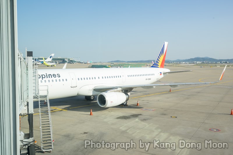 필리핀항공 마닐라 기내식 & 서비스 정보