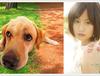 개를 좋아하는 사람! AKB48 마에다 아츠코가 영화 'LOVE 마사오군이 간다!'로 주제가를 담당