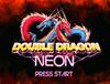 더블드래곤 네온 여캐샷(DOUBLE DRAGON NEON FEMALE CHARACTERS SHOTS)(PSN/PS3)