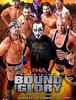 TNA 바운드 포 글로리 2012 레슬링 옵저버 별점