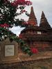 미얀마 - 바간, 묘묘