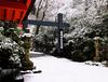 [일본여행] 하코네 신사(箱根神社)의 헤이와도리이(平和鳥居)
