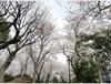 2013년 일본 도쿄 여행 2일차: 스미다 공원을 지나서 아사쿠사