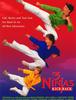 닌자 키드2 -돌아온 닌자 키드(3 Ninjas Kick Back.1994)