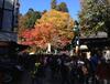 지난 가을의 타카오산 단풍놀이.