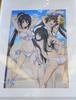 뜨면 뜰수록 원작자가 욕먹는 신기한 작품 'IS' Infinite Stratos의 2기 비주얼.