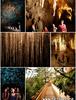 Waitomo Glowworm Caves Tour!