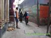 13.08.04 [08일] 바라나시(Varanasi) 여섯번째 날 아침
