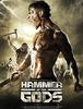 해머 오브 더 갓 (Hammer of the Gods, 2013)