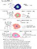 [번역]반역 스포 2 - 마도마기 유니버스 3차례 개변 정리 