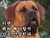 본격멘탈붕괴시즌2