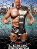 TNA 2014년 Lockdown 리뷰