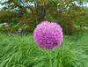 Chicago Botanic Garden