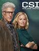 CSI: Crime Scene Investigation season 14