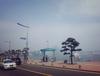 우리의 부산