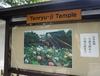 [일본여행] 오사카 교토 덴류지템플 (덴류사) Tenryuji Temple